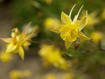 总监表示《战神：诸神黄昏》DLC不太可能推出